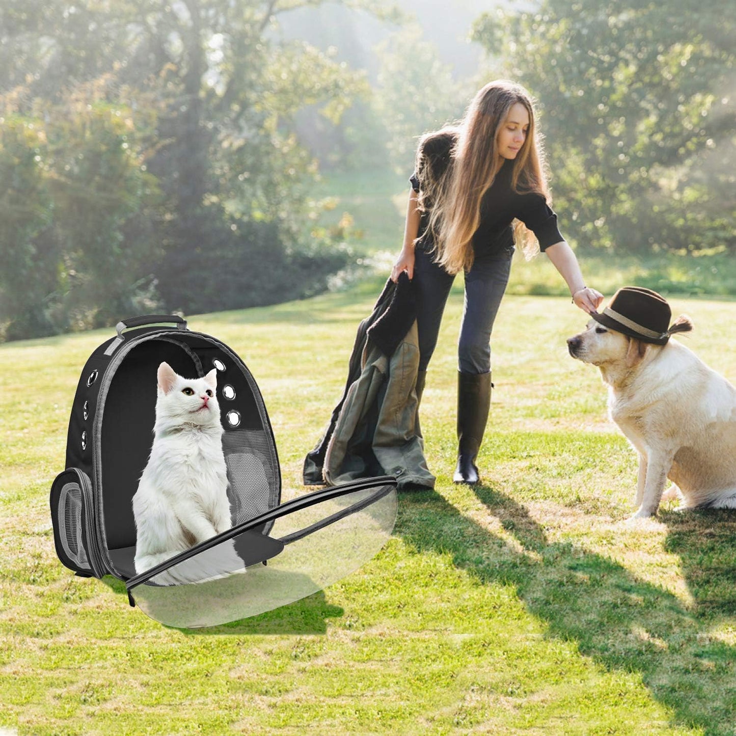 Cat Backpack Carrier Bubble Carrying Bag, Small Dog Backpack Carrier for Small Medium Dogs Cats, Space Capsule Pet Carrier Dog Hiking Backpack, Airline Approved Travel Carrier - Black