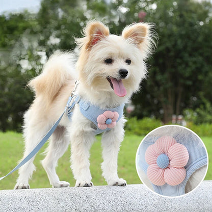Dog Harness with 1.2M Leash Set Adjustable Pet Harness for Puppy Cats French Bulldog Chihuahua Outdoor Walking Lead Leash