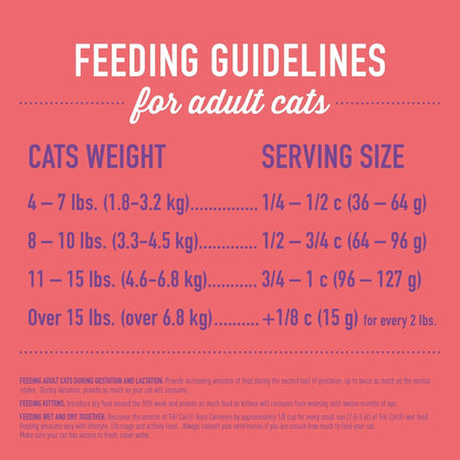 Cat Born Carnivore High Protein Dry Cat Food, Chicken Herring & Salmon Meal