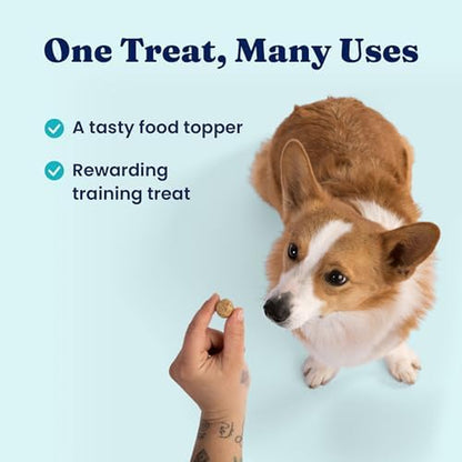 Freeze Dried Dog Food - W/Real Beef, Pumpkin & Superfoods - Freeze Dried Raw Dog Food Toppers for Picky Eaters to Serve as a Nutrient-Dense Meal Topper or High Protein Treats - 1.5Oz