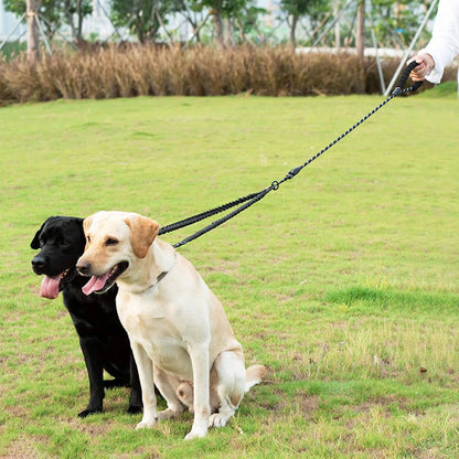 Double Dog Leash 360 Swivel No Tangle Walking Leash Shock Absorbing Bungee for Two Dogs Retractable Elastic Luminous Dog Leash